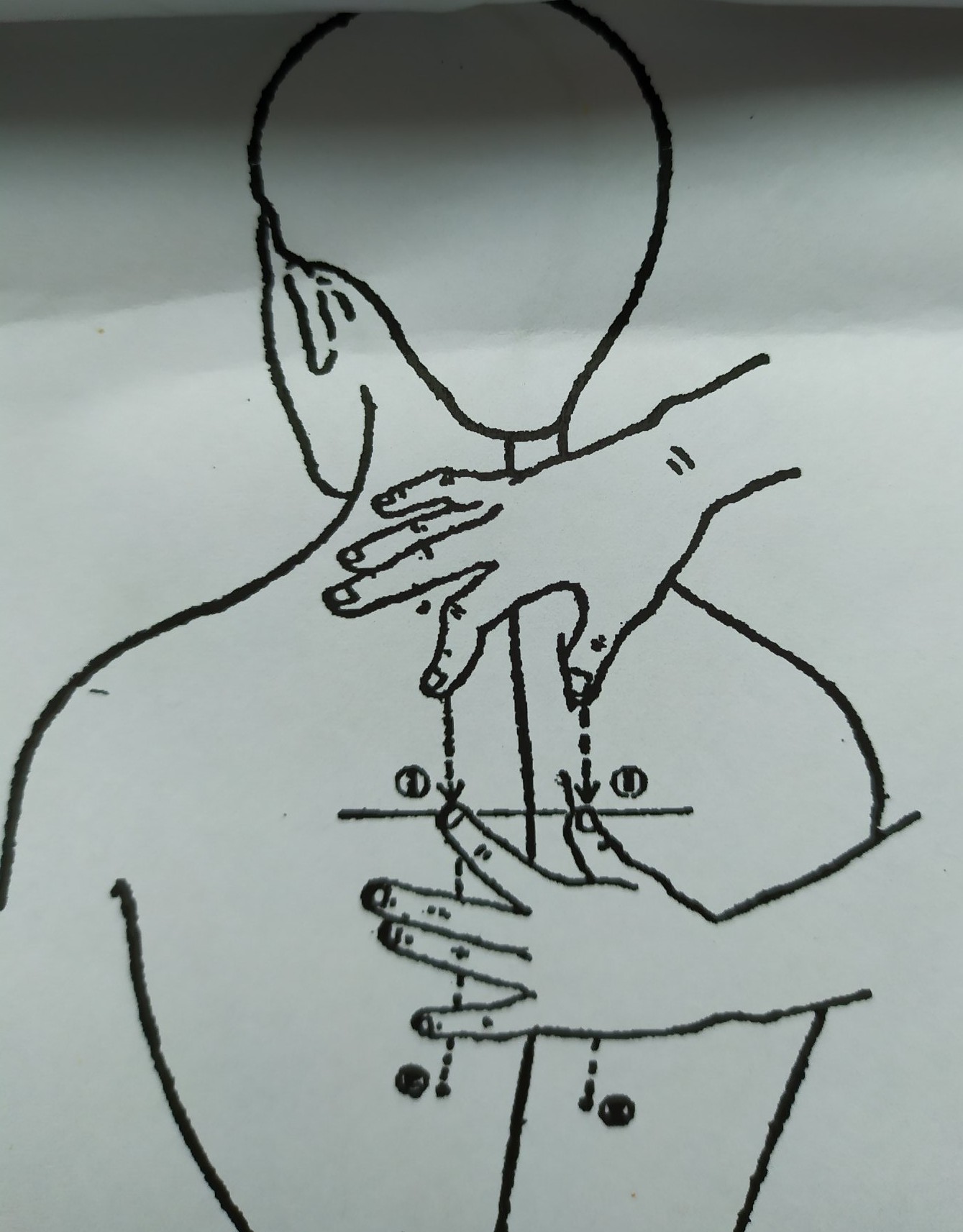 零基础学习中医按摩,零基础学中医按摩