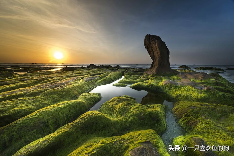 当你感到很脆弱很孤独的时候,你是有多讨厌以前的自己