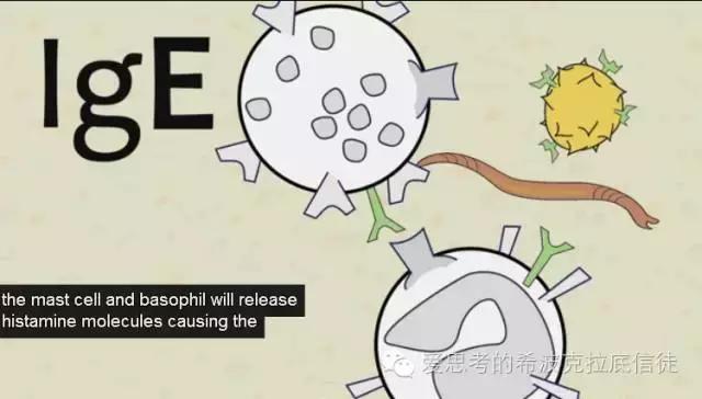 一种罕见病常跟儿童湿疹混淆,它是什么病呢?