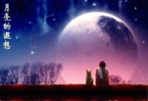 小村老树明月，岁月溪河，溪河映明月，明月还我皎洁，不蹉跎