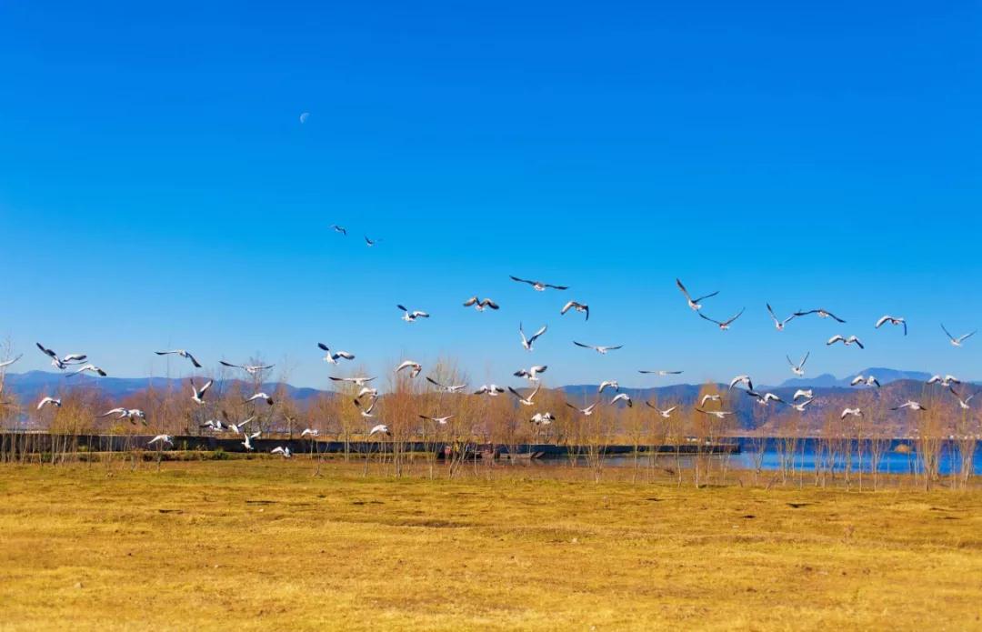 住一晚送一晚！赶紧去丽江“艳遇”这家「来了就不想走的客栈」吧