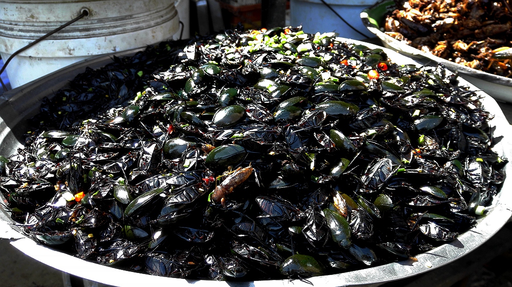 中国去暹粒,北京怎么去暹粒