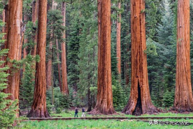 加利福尼亚州简介视频,加利福尼亚历史介绍