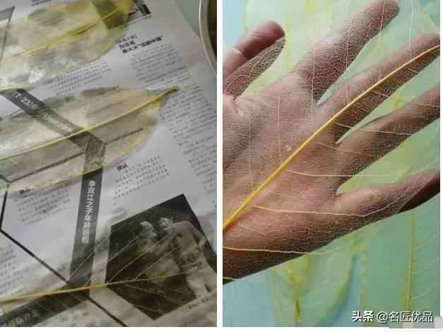 超惊艳的树叶手工,有趣的树叶手工制作