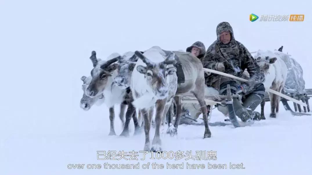 人在逆境要懂得坚持,面对逆境向阳而生