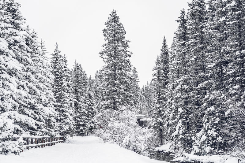 加拿大魁北克冰雪节,加拿大艾伯塔省节
