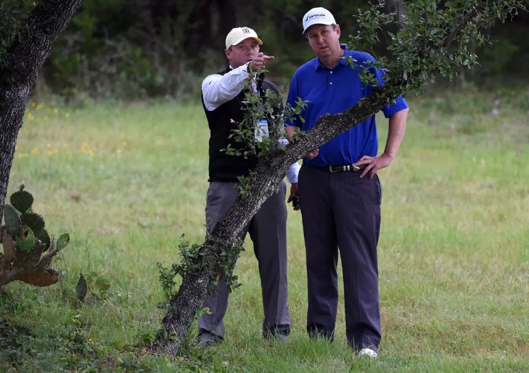 揭秘高尔夫内部,高尔夫最新政策