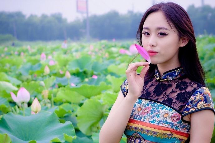 莲花朵朵，心念款款，深情缱绻