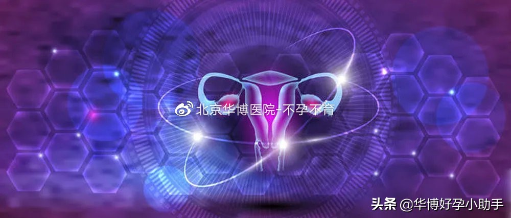 有子宫后位的容易怀孕吗,子宫后位是比较难孕吗