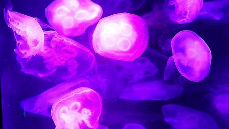 4号线值得逛的地方,9号线有什么地方可以玩