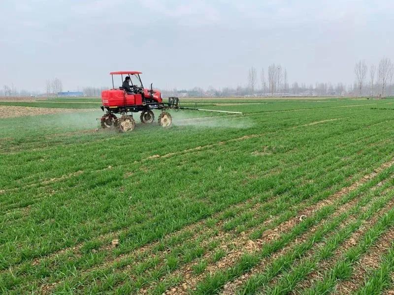 襄阳樊城区蔬菜配送,武都38元蔬菜包