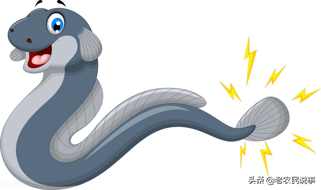 农村房屋有蛇出没,好事还是坏事?用什么方法能避免蛇出现?