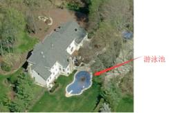 李志洪真人照片,李志洪经典视频记录