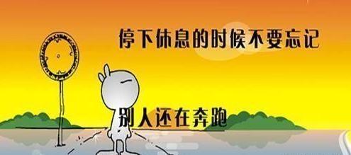 会计新手如何进行会计工作,会计要怎样才能做得好