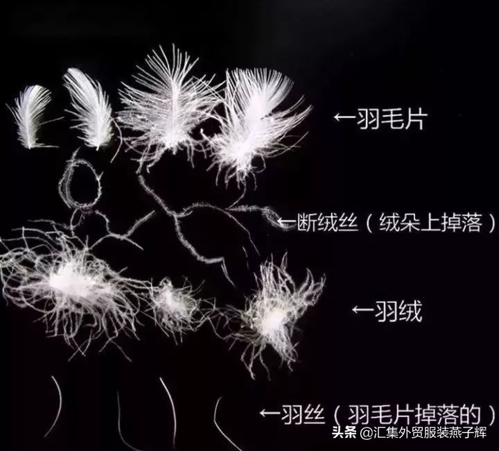 moncler20000走秀羽绒服,moncler羽绒服1952限量款黄色