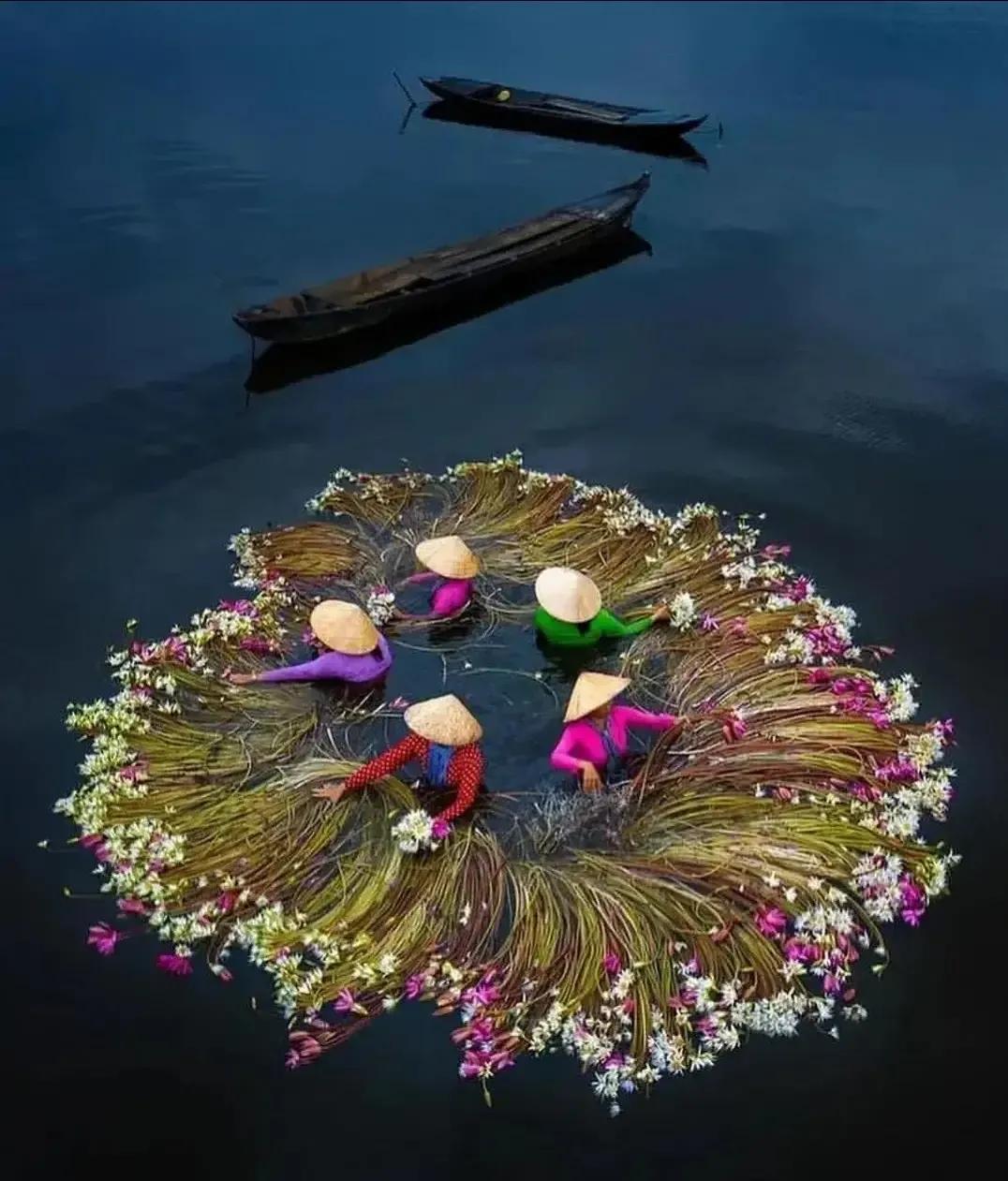 好书推荐人简介,好书推荐栋梁之才