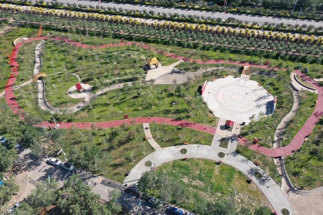 小信说民生▎看三坪农场如何“点亮”幸福生活，“提速”乡村振兴！