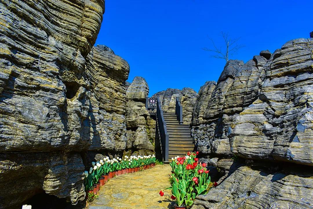 石林景区网红景点打卡,石林景区有什么好玩的景点