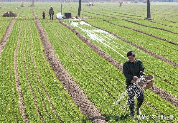 烧秸秆禁令原视频,秸秆禁烧禁抛的通告