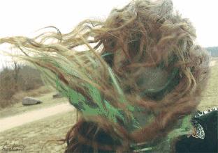 消除碎发用什么手机软件,除碎发的最佳方法