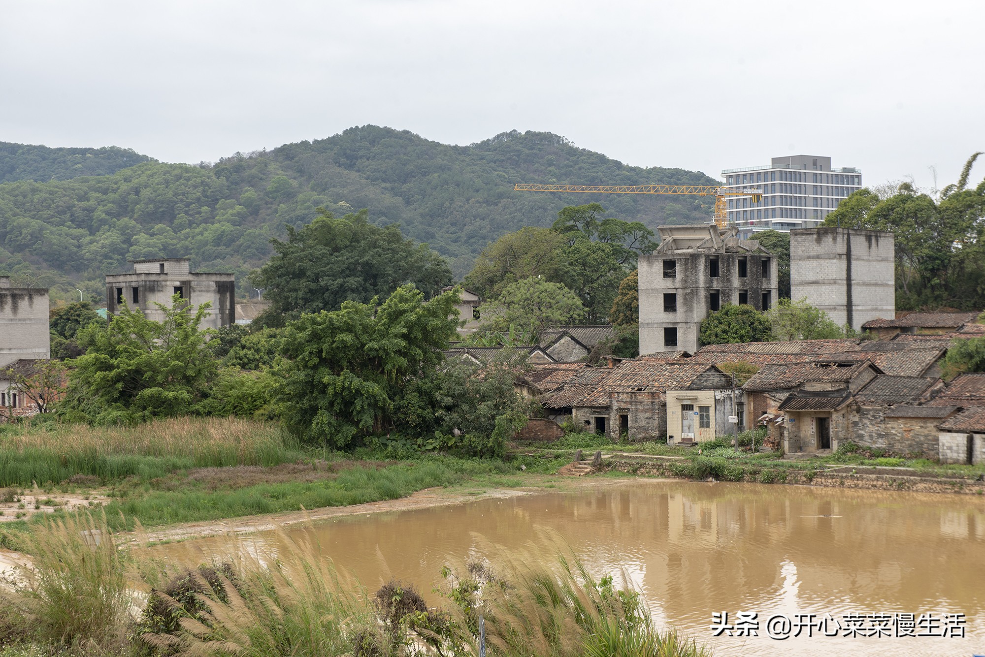 广州这个近900年历史古村要变了,广州古村落现状