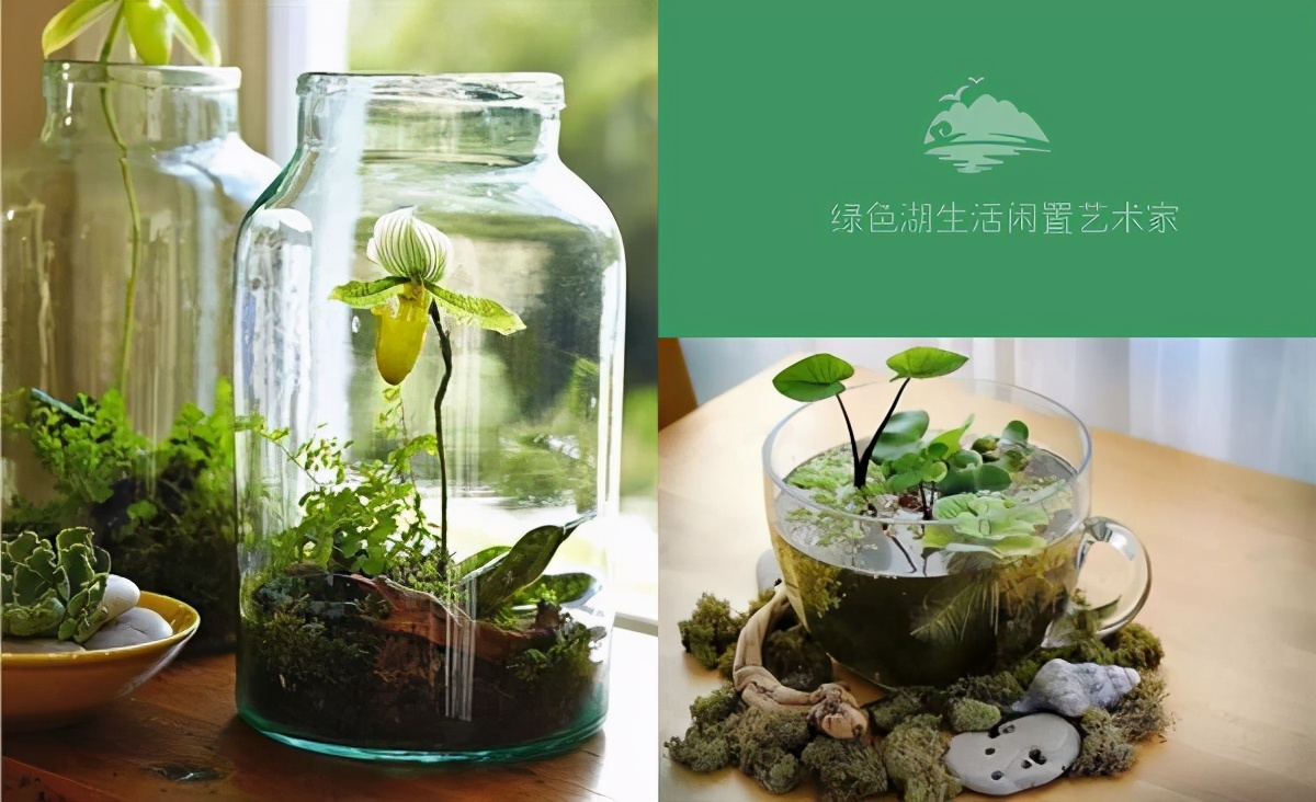 DIY自制花盆，让闲置品充满文艺气息