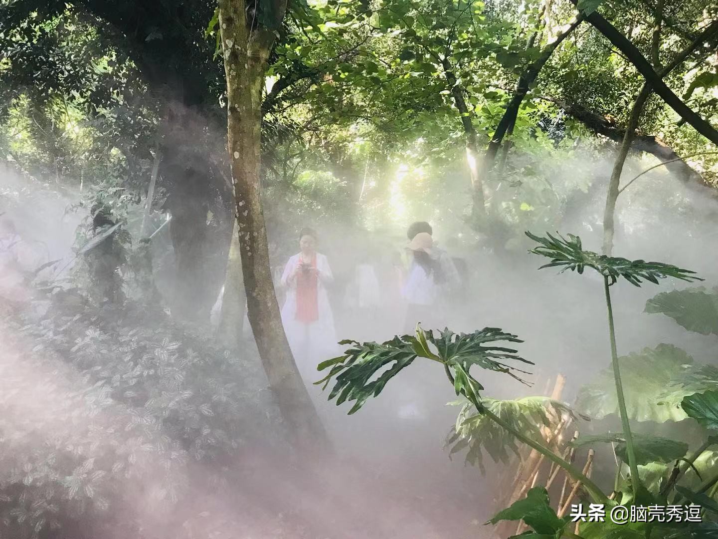 厦门四天自由行攻略最详细,厦门自由行攻略5天详细