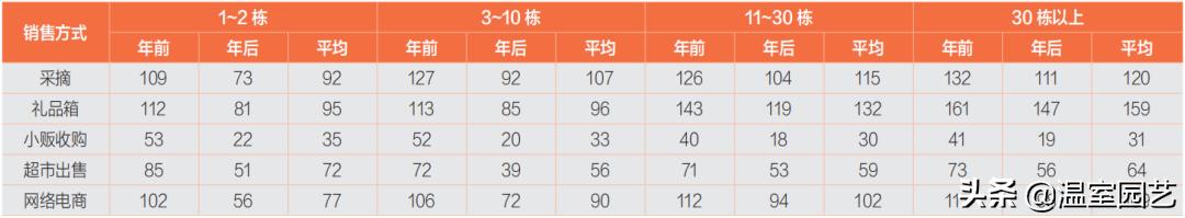 草莓电商是怎么赚钱的,电商发展对城市的影响
