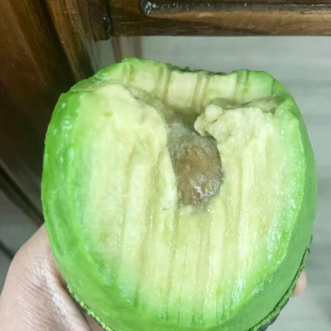 戴牙套是什么感受,戴牙套是什么体验的视频