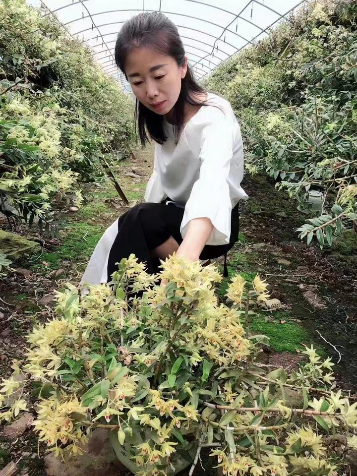 4年收获4本房产证,年收入400多万!单臂的她是怎么做到的?