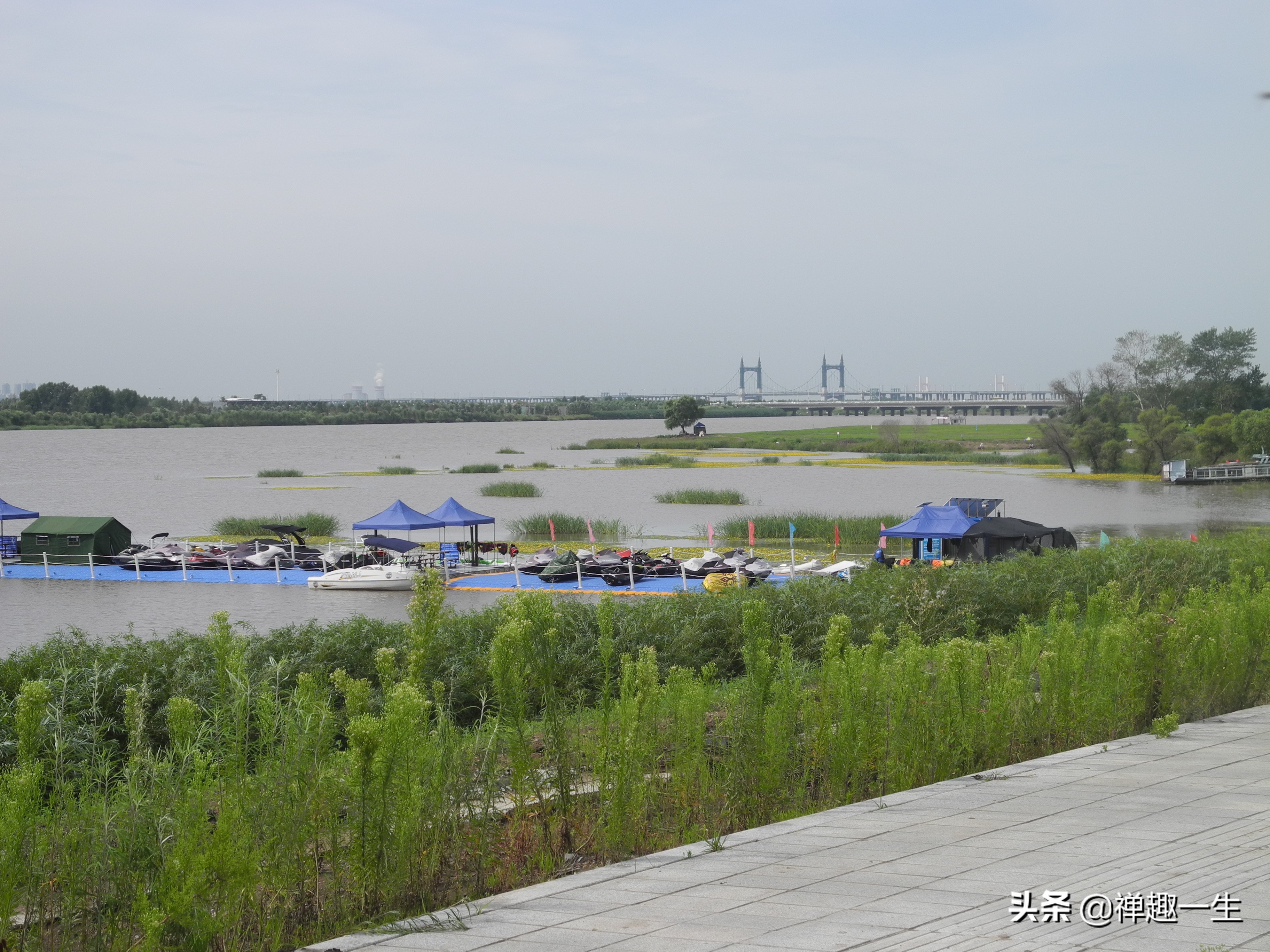 不是太阳岛!但大美湿地却都有一个像太阳般美丽的名字
