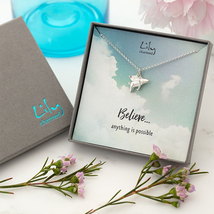 可可爱爱小飞猪，猪年一定要拥有