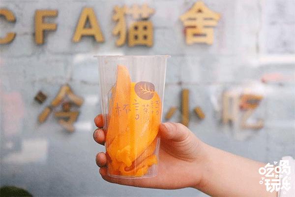 软萌暴击!邯郸这家高颜值猫咖上线,“吸猫”终于提上日程!