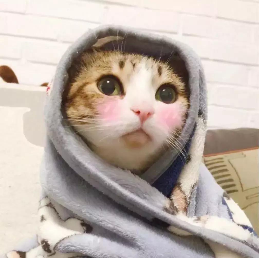 广州有什么手信适合送人,广州10大最好的特色手信