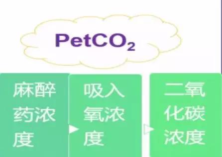 李娟教授：呼气末二氧化碳分压监测的临床应用