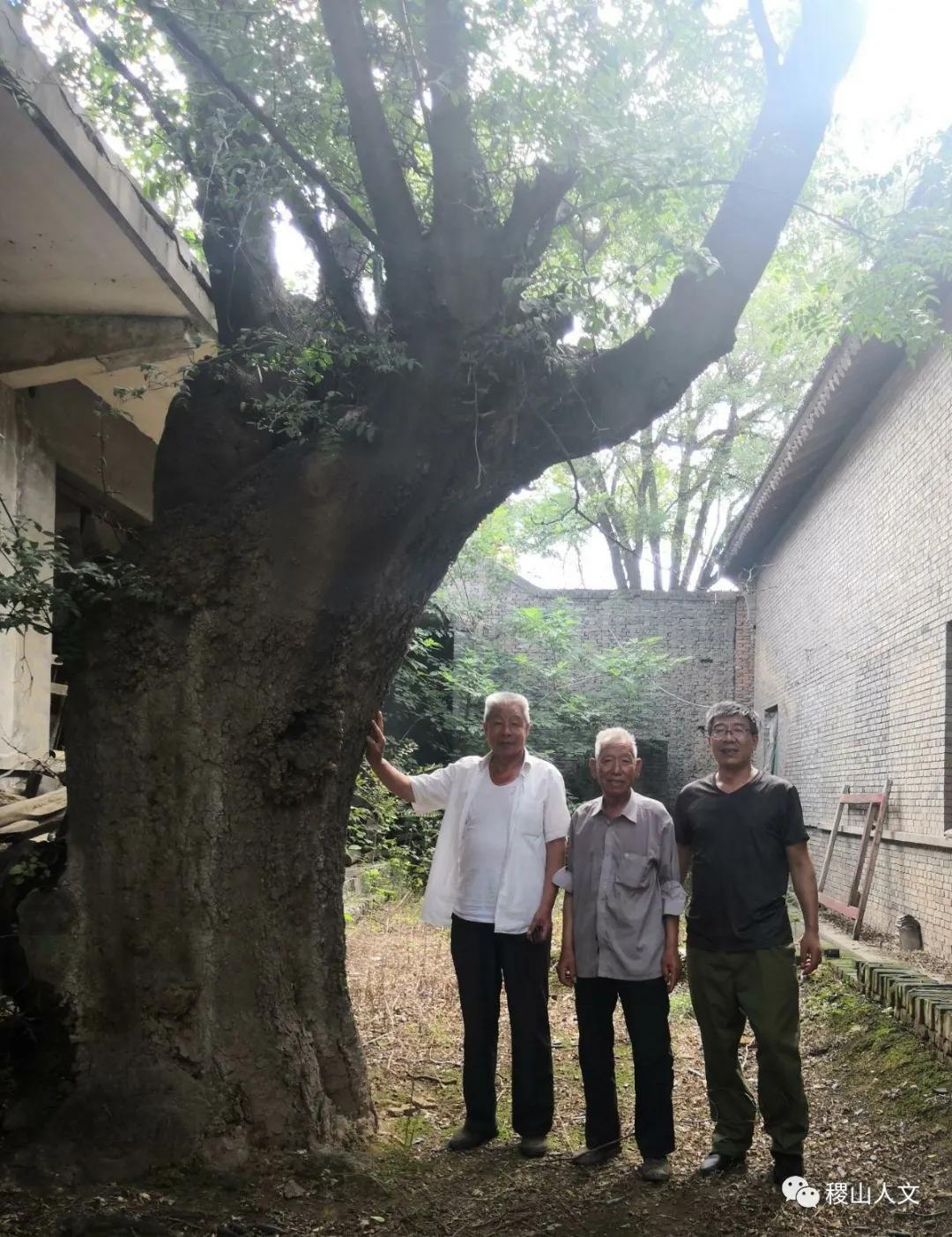 我骄傲我是介休人朗诵,我骄傲我是山西泽州人