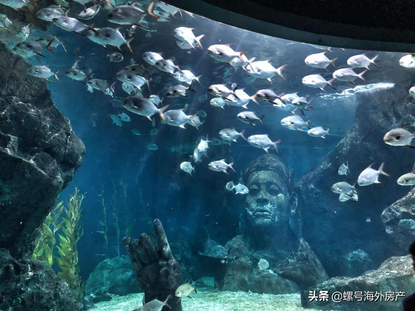 泰国芭提雅曼谷,泰国曼谷到芭提雅旅游攻略