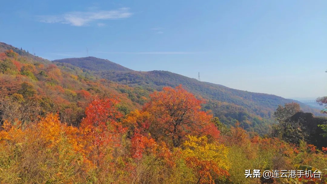 连云港赏秋最佳地点,连云港附近秋天值得去看的地方