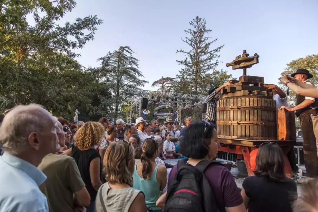 法国葡萄园干活,在法国上班