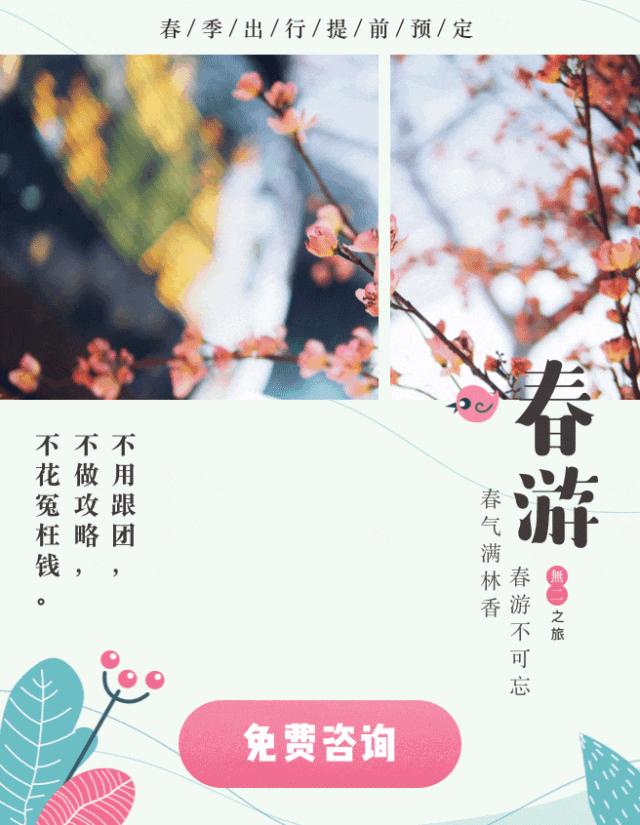 中国护照2019年最新最全免签、落地签攻略,拎包就走!