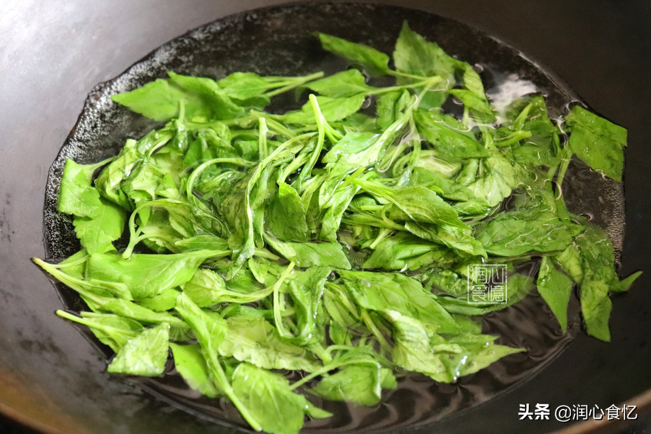 快立夏了,碰见这种时令野菜抓紧吃,营养足鲜又嫩,过阵子就少了