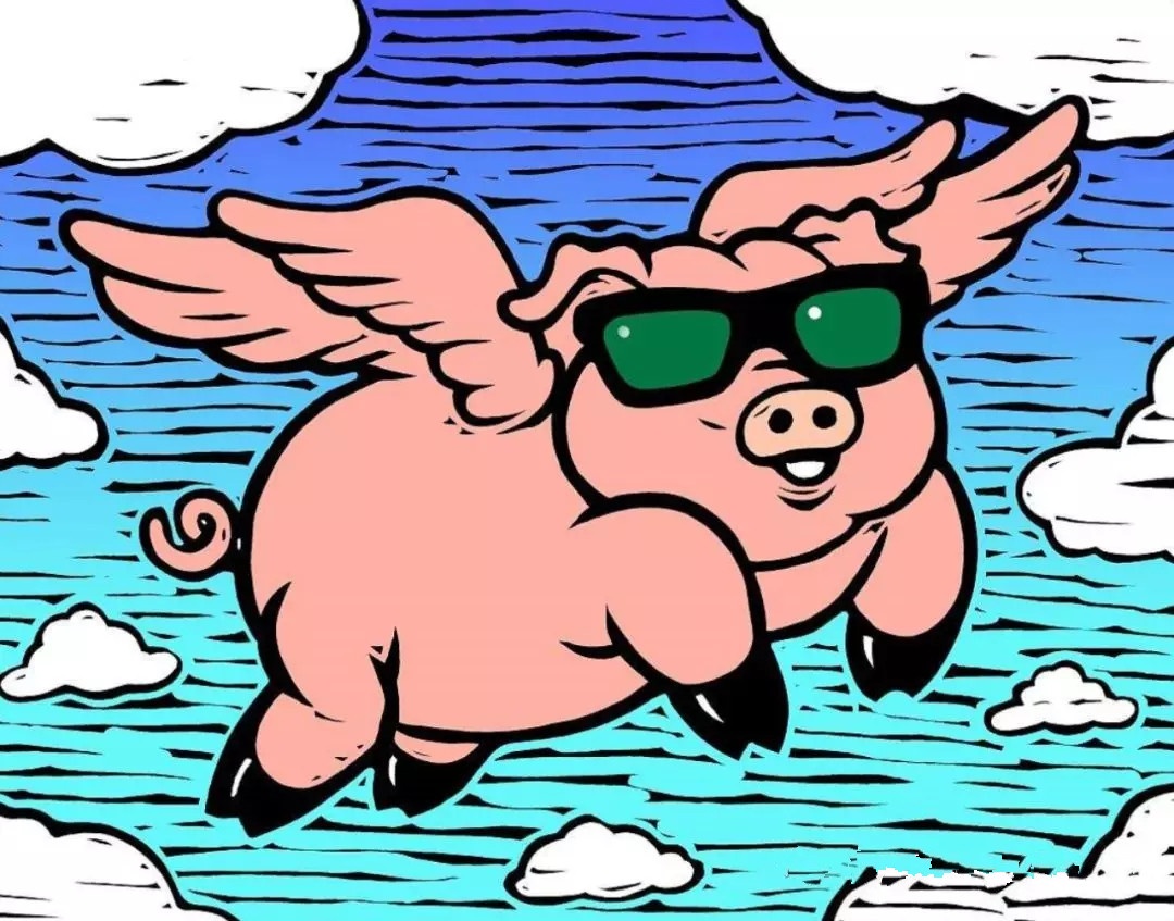 猪属于中国文化的一种吗,猪也是有思想的