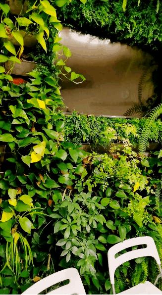 颜值超高，环境私密，北师大这个中心成立2年服务超20000小时，网友：贴心！