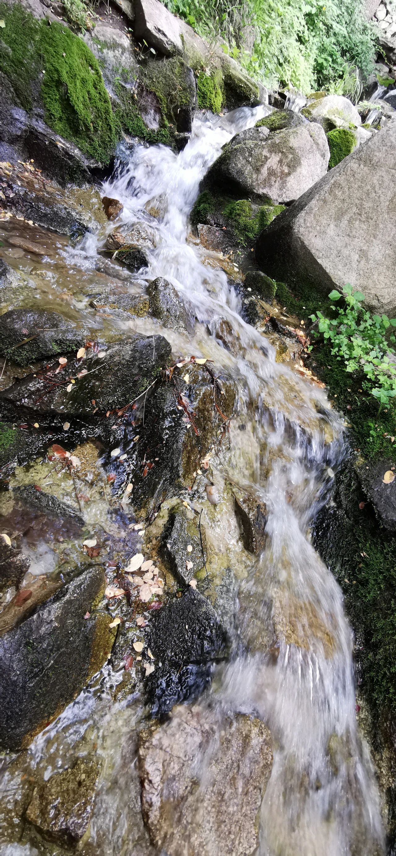 济南免费遛娃的地方,济南市十一带娃游玩好去处