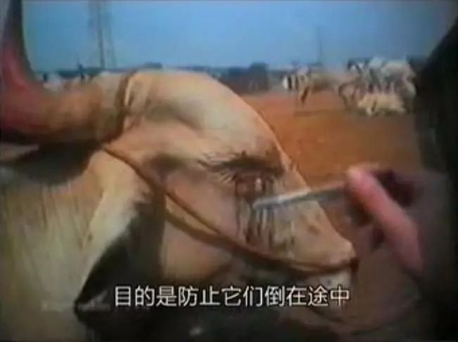 豆瓣9.1这部剧全程高能,豆瓣9.2分最好看的悬疑剧