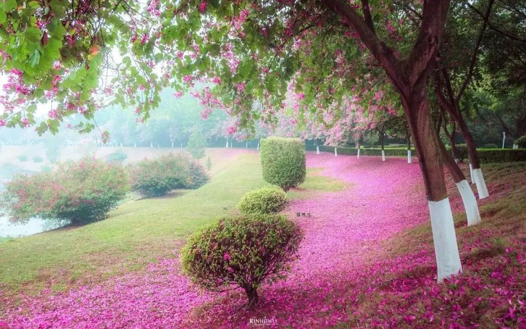 详解广东财经大学|附各专业录取分数，填报志愿必收藏