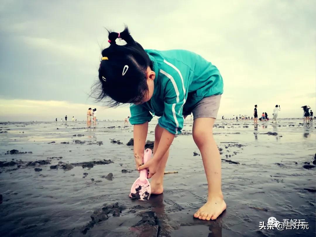 遛娃|南汇新城海滩，魔都夏日必打卡？