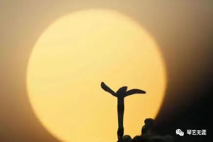 古筝高级速学,古筝快速视奏练习