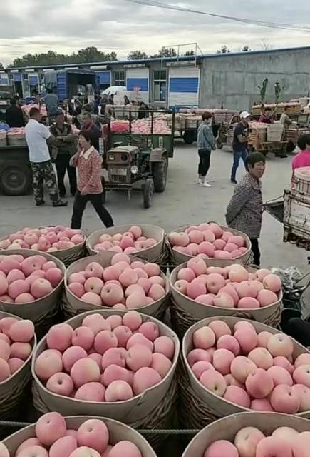 果农卖不出去苹果怎么办,果农卖不出去水果