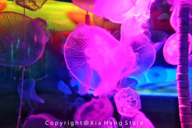 横店梦幻谷拍照景点,亲子游横店梦幻谷水世界